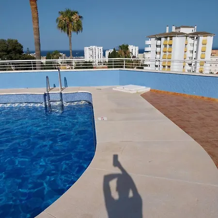 Ananas * Benalmádena