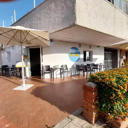 Ananas * Benalmádena